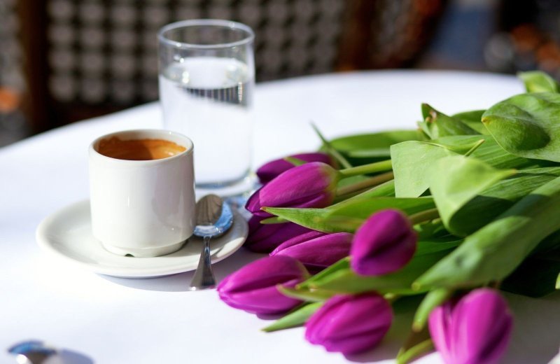 Kaffeepause tulpen